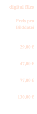 digital files Preis pro Bilddatei 29,00 € 47,00 € 77,00 € 130,00 € 